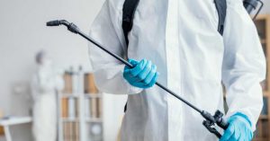 20 Best Pest Control Services in Qatar · Qatar OFW
